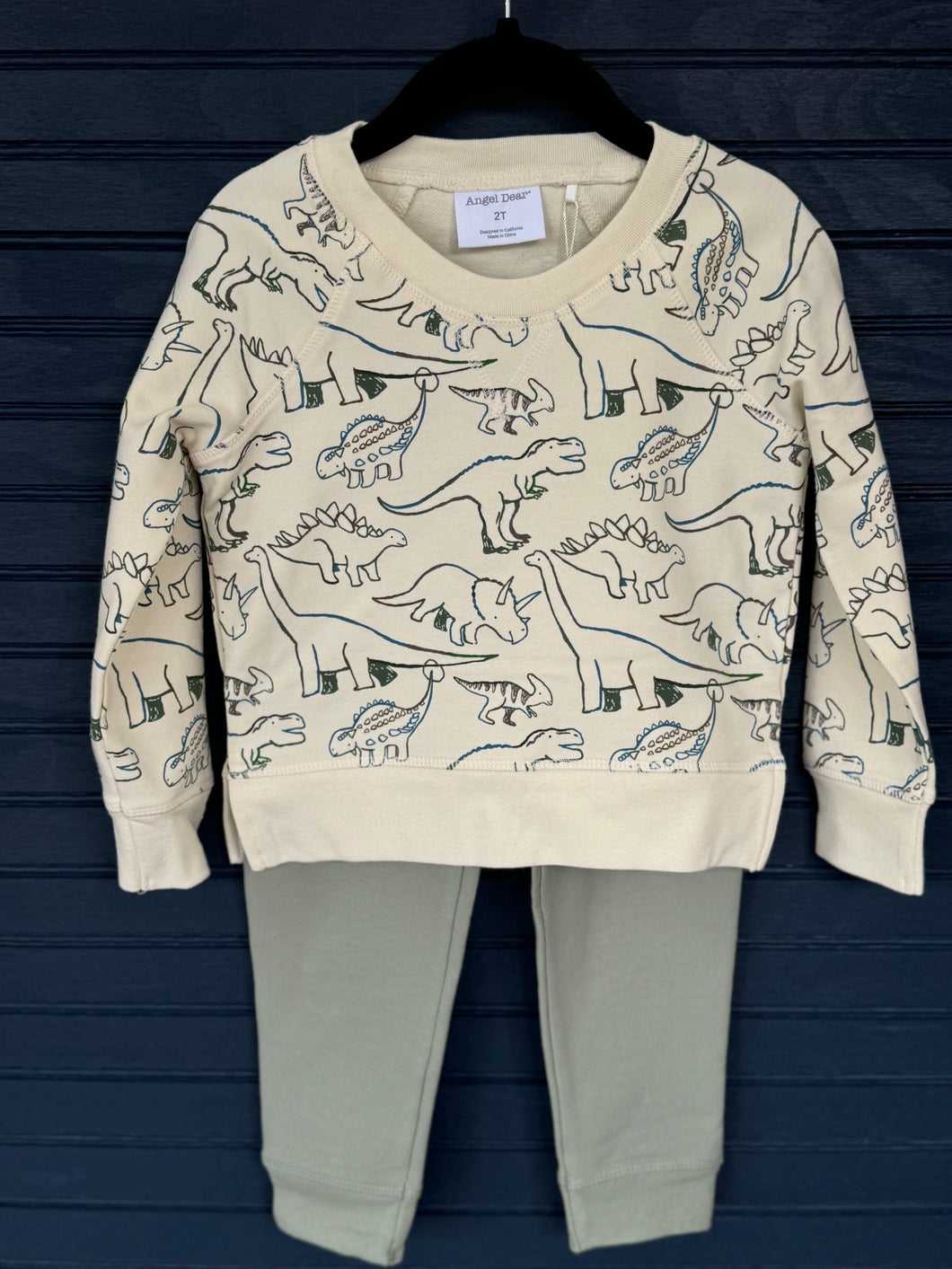 Artsy Dinos Jogger Set