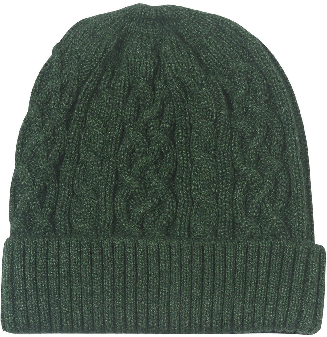 Arcadia Beanie - Forest