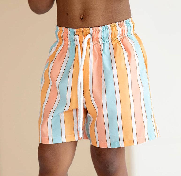 Retro Stripe Swim Shorts